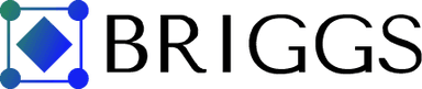 BRIGGS logo